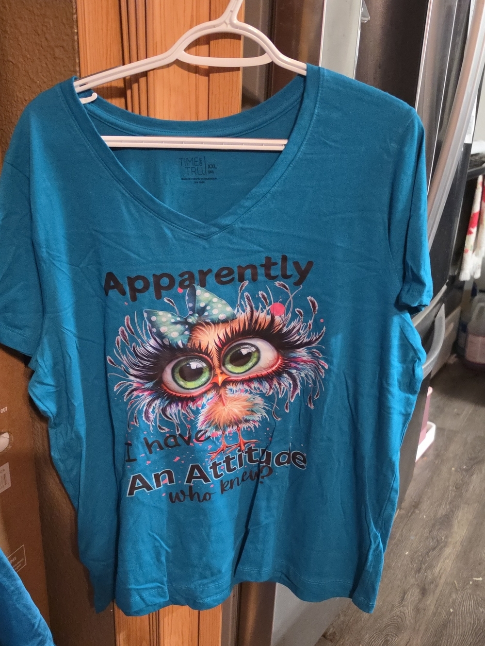 Time and Tru Teal Short Sleeve V-Neck Graphic Tee with Colorful Owl